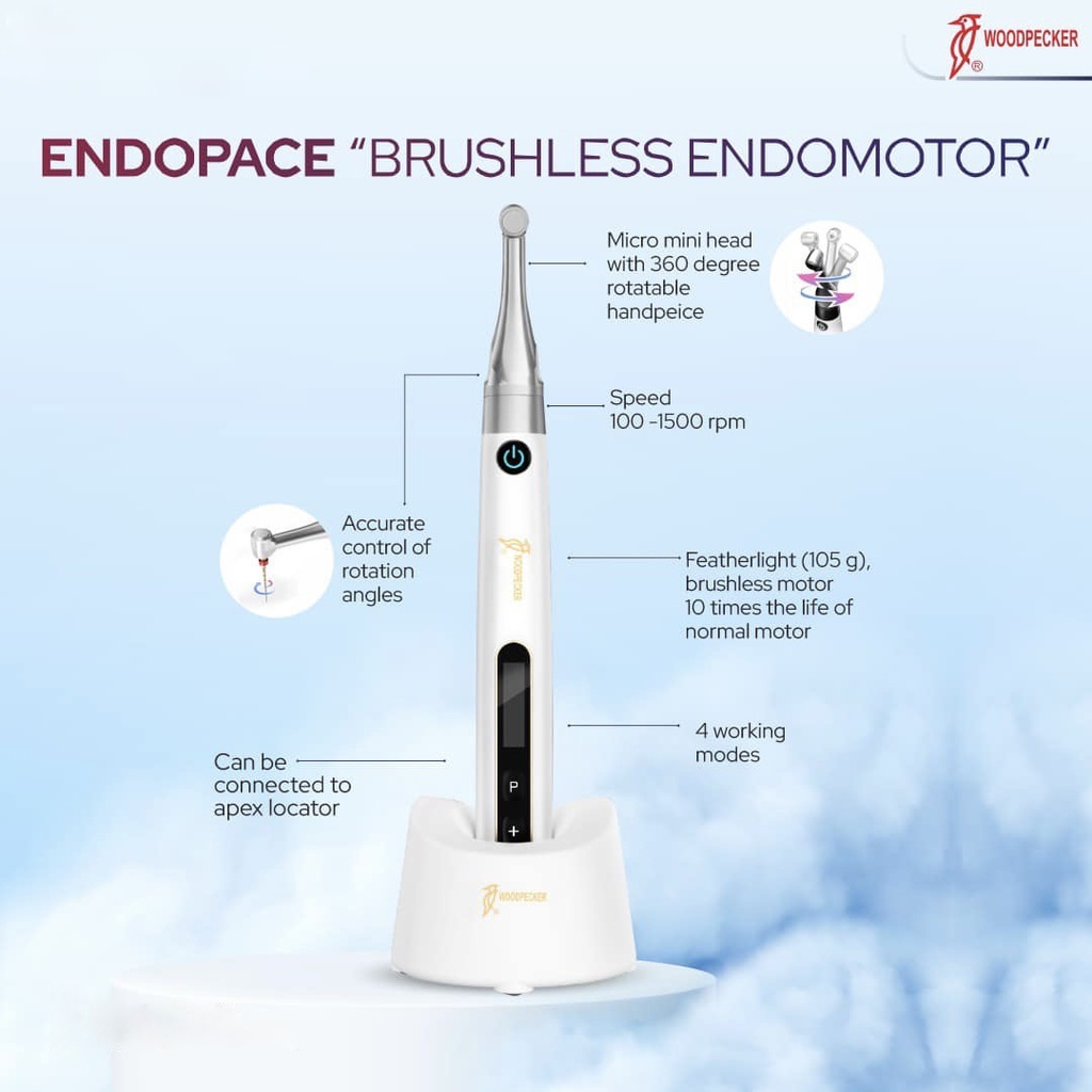 Motor Endodoncia Endo Pace Brushless Woodpecker Biotech Chile